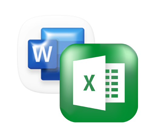 word-excel-final