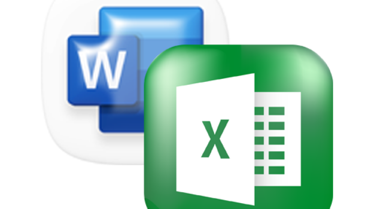 word-excel-final